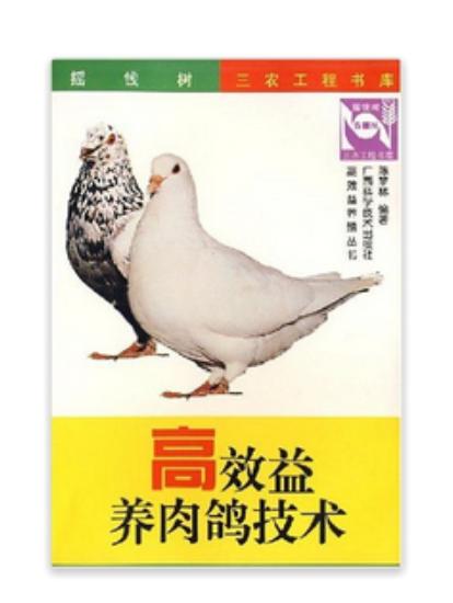 高效益養(yǎng)肉鴿技術(shù)