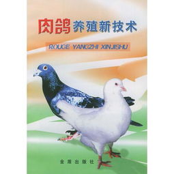 肉鴿養(yǎng)殖新技術(shù)